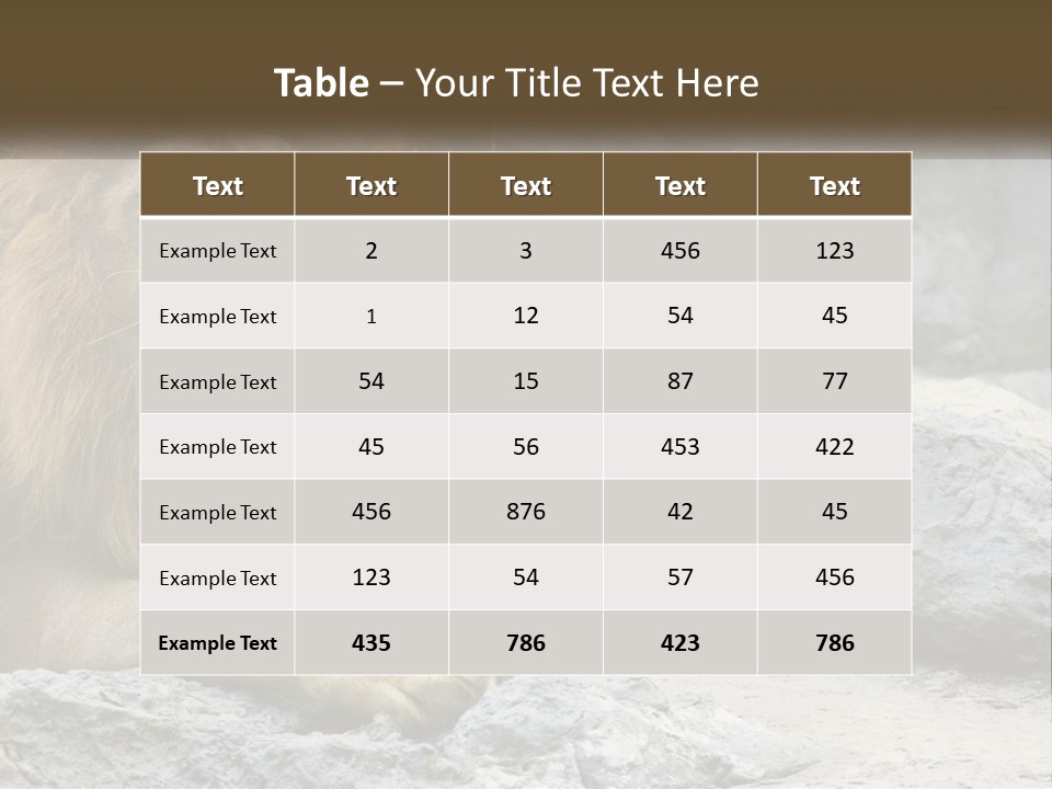 A Couple Of Lions Sitting On Top Of A Rock PowerPoint Template