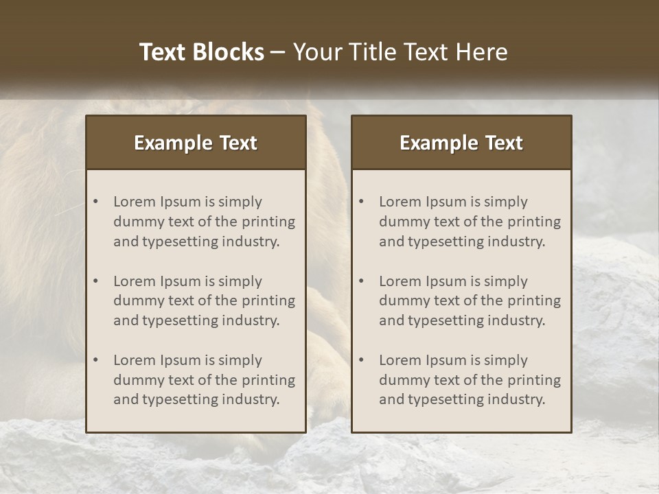 A Couple Of Lions Sitting On Top Of A Rock PowerPoint Template