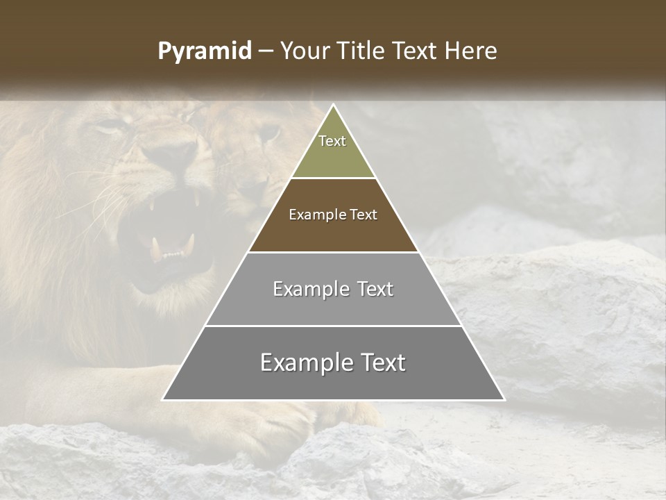 A Couple Of Lions Sitting On Top Of A Rock PowerPoint Template