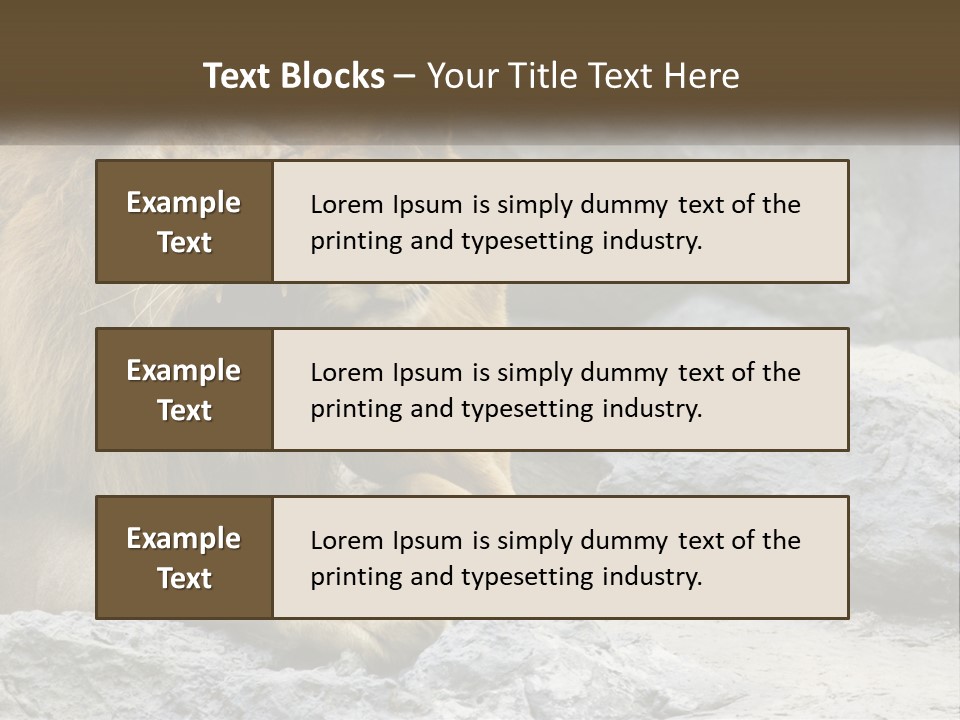 A Couple Of Lions Sitting On Top Of A Rock PowerPoint Template