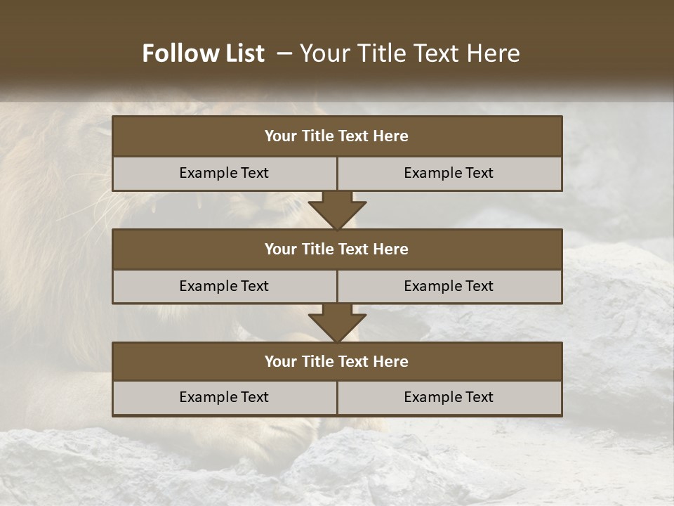 A Couple Of Lions Sitting On Top Of A Rock PowerPoint Template