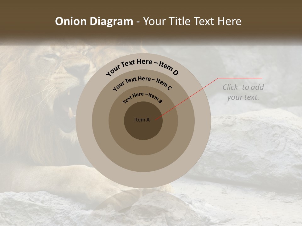 A Couple Of Lions Sitting On Top Of A Rock PowerPoint Template