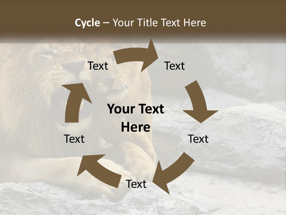 A Couple Of Lions Sitting On Top Of A Rock PowerPoint Template