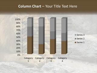 A Couple Of Lions Sitting On Top Of A Rock PowerPoint Template