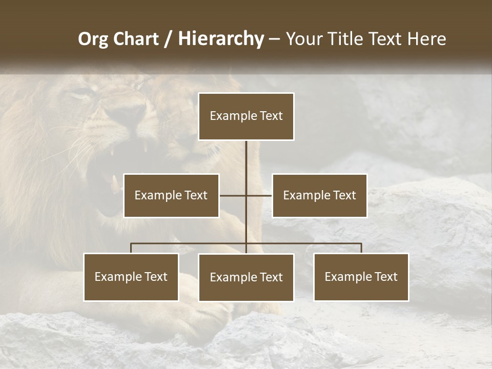 A Couple Of Lions Sitting On Top Of A Rock PowerPoint Template