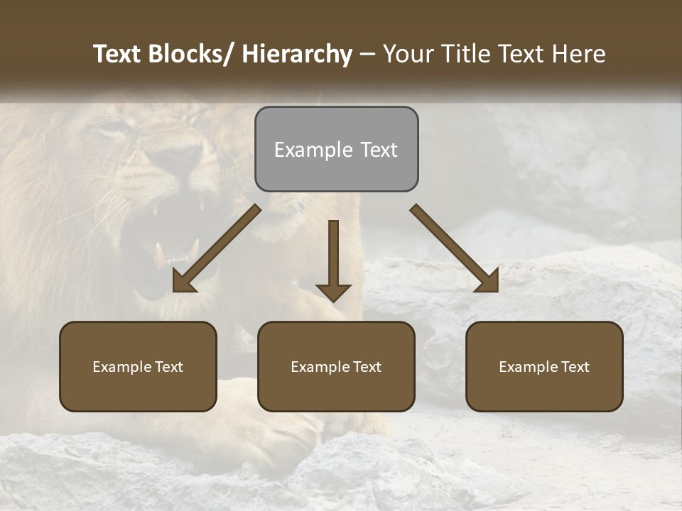 A Couple Of Lions Sitting On Top Of A Rock PowerPoint Template
