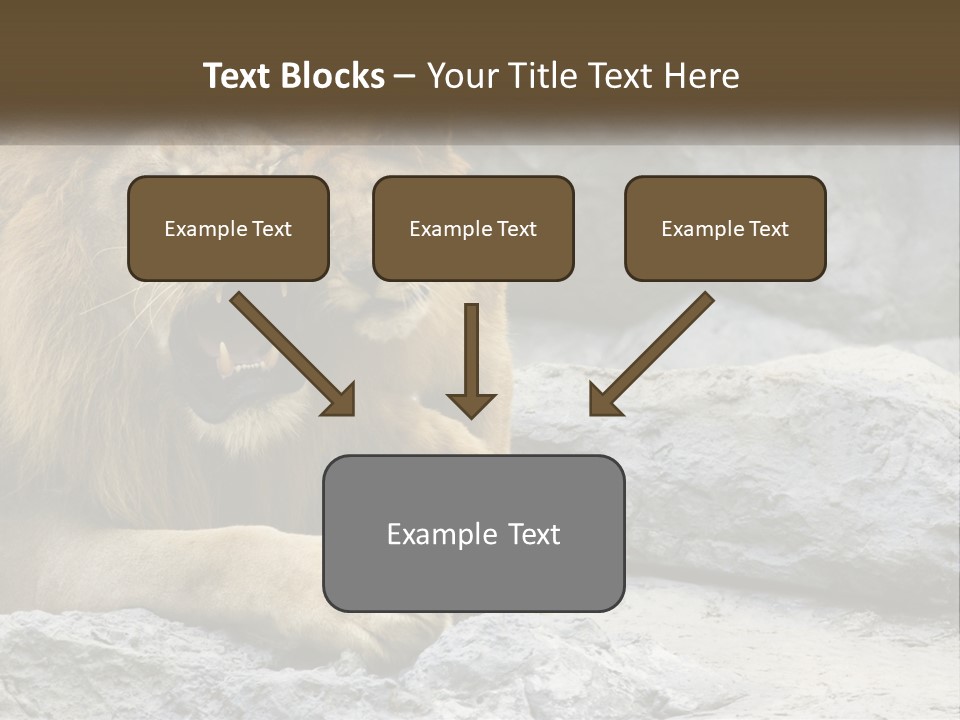 A Couple Of Lions Sitting On Top Of A Rock PowerPoint Template