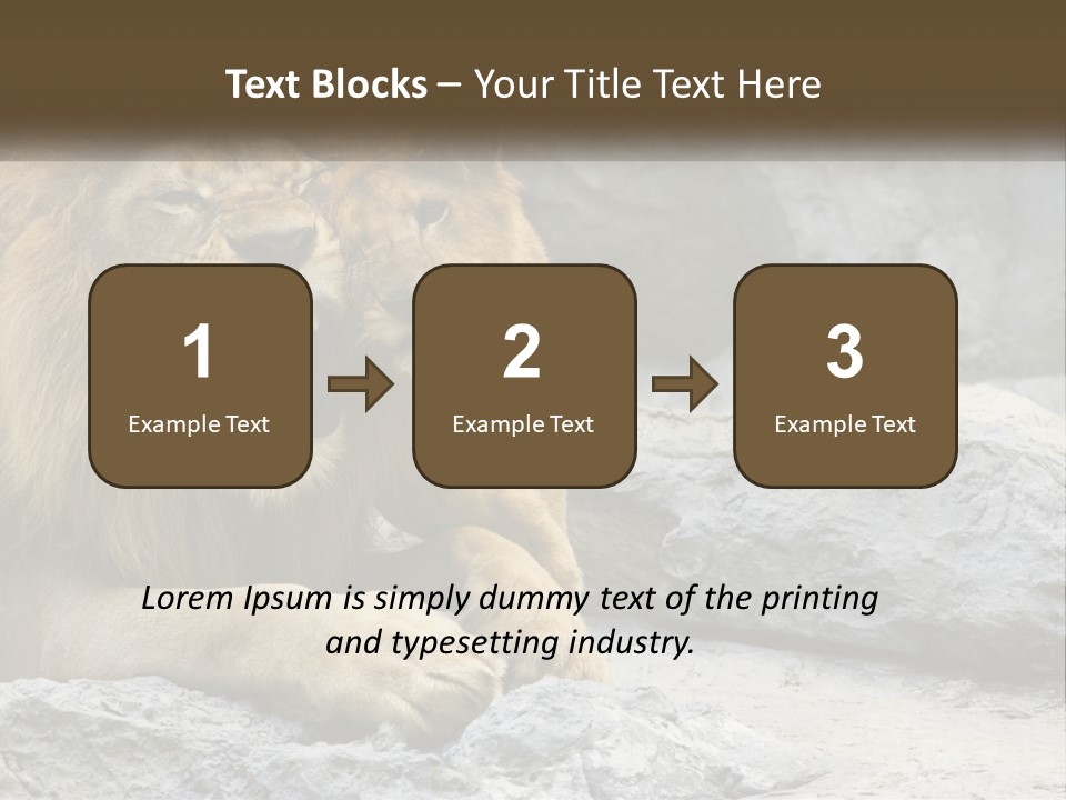 A Couple Of Lions Sitting On Top Of A Rock PowerPoint Template