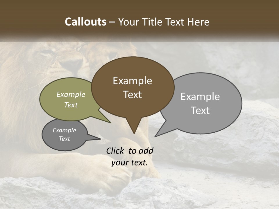A Couple Of Lions Sitting On Top Of A Rock PowerPoint Template