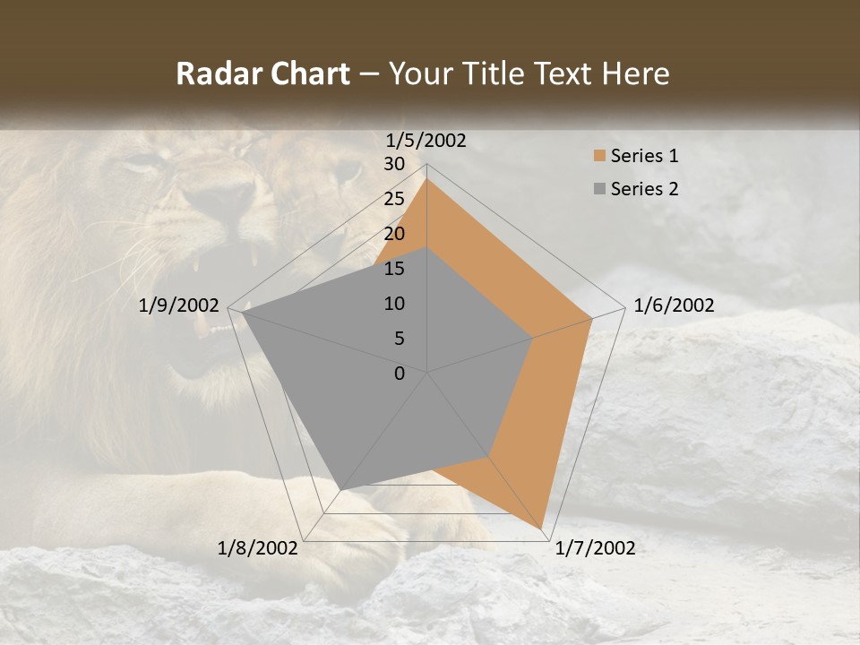 A Couple Of Lions Sitting On Top Of A Rock PowerPoint Template