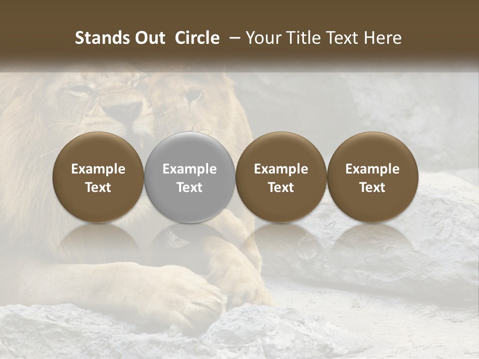 A Couple Of Lions Sitting On Top Of A Rock PowerPoint Template
