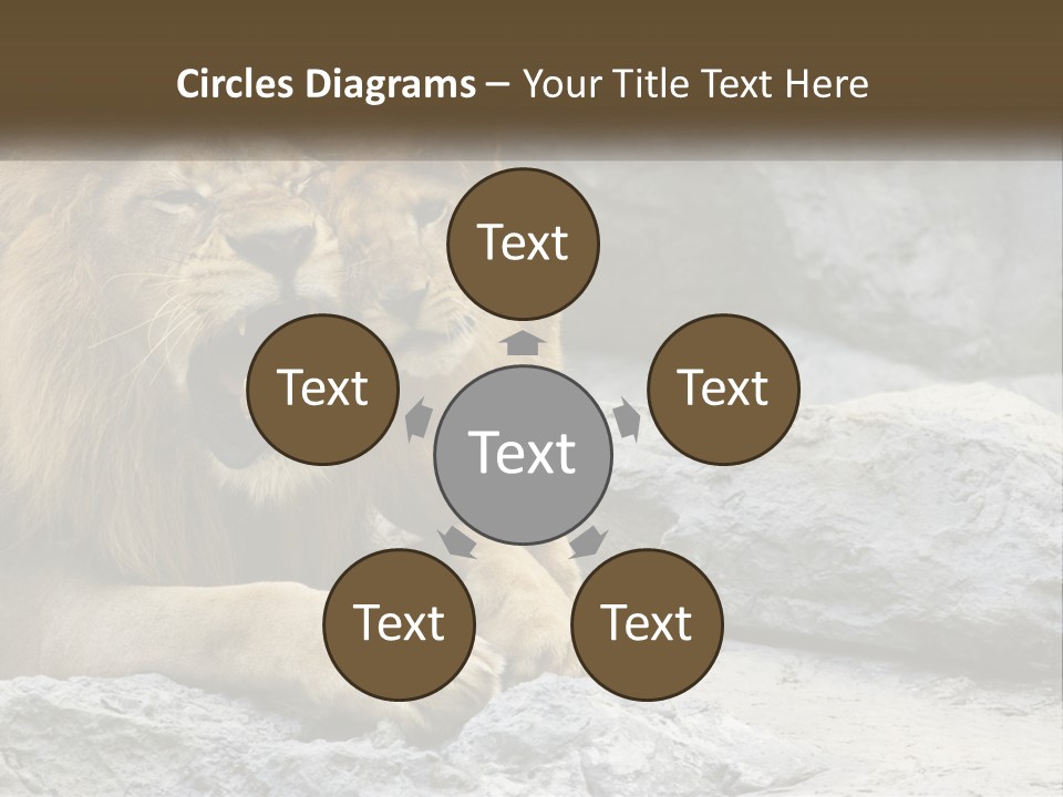 A Couple Of Lions Sitting On Top Of A Rock PowerPoint Template