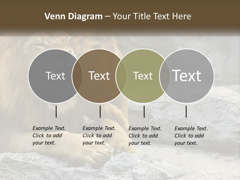 A Couple Of Lions Sitting On Top Of A Rock PowerPoint Template