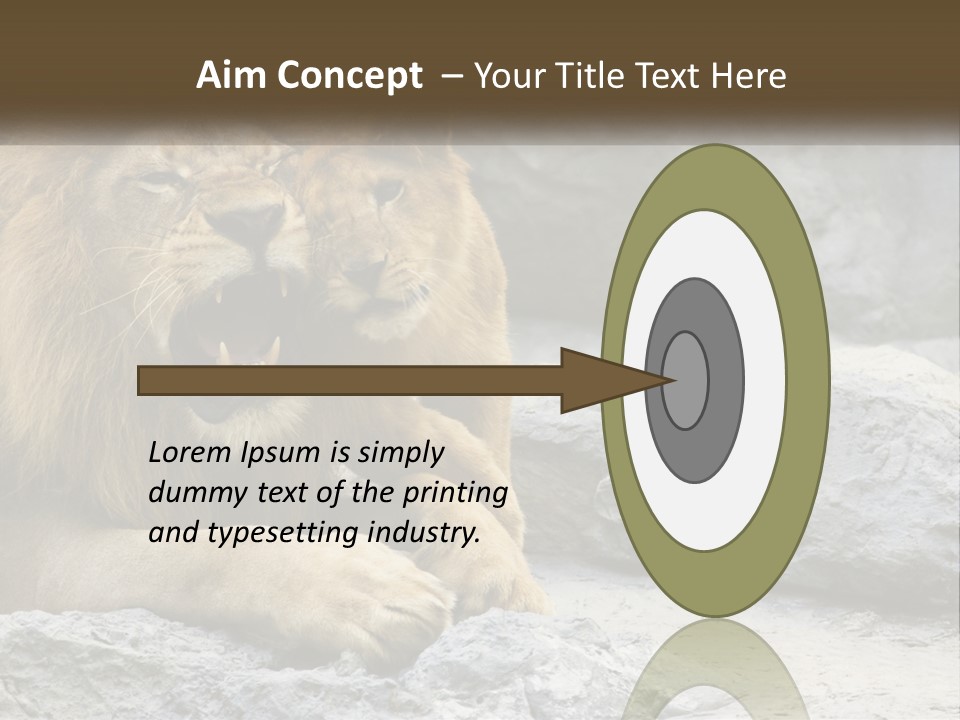 A Couple Of Lions Sitting On Top Of A Rock PowerPoint Template