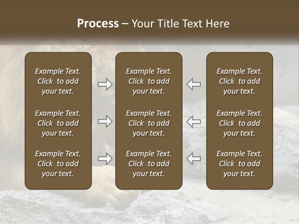 A Couple Of Lions Sitting On Top Of A Rock PowerPoint Template