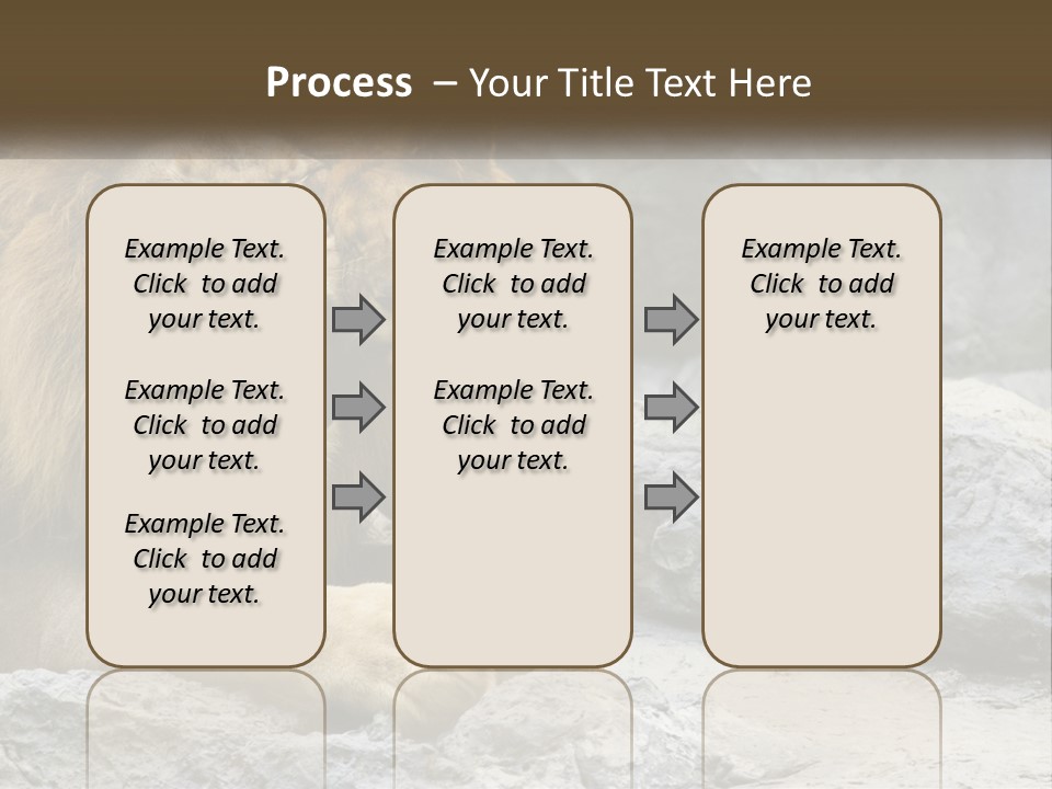A Couple Of Lions Sitting On Top Of A Rock PowerPoint Template