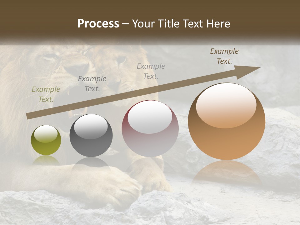 A Couple Of Lions Sitting On Top Of A Rock PowerPoint Template