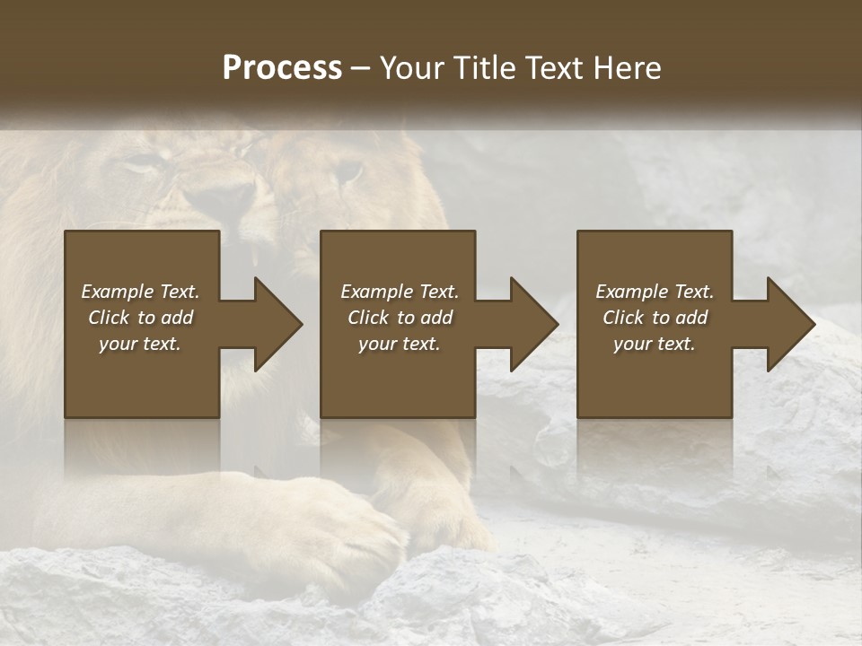 A Couple Of Lions Sitting On Top Of A Rock PowerPoint Template