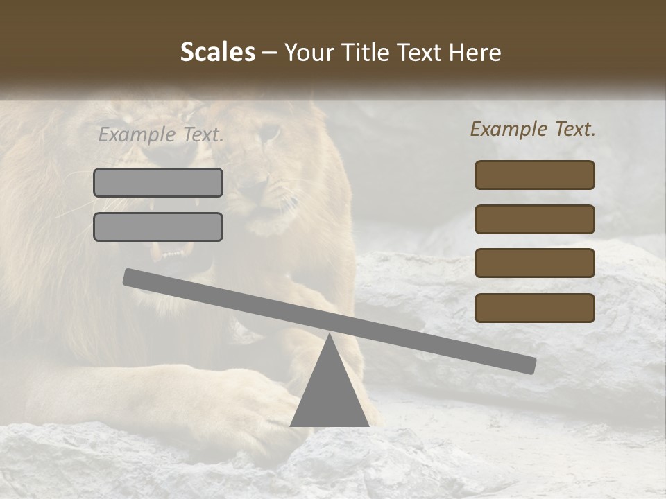 A Couple Of Lions Sitting On Top Of A Rock PowerPoint Template