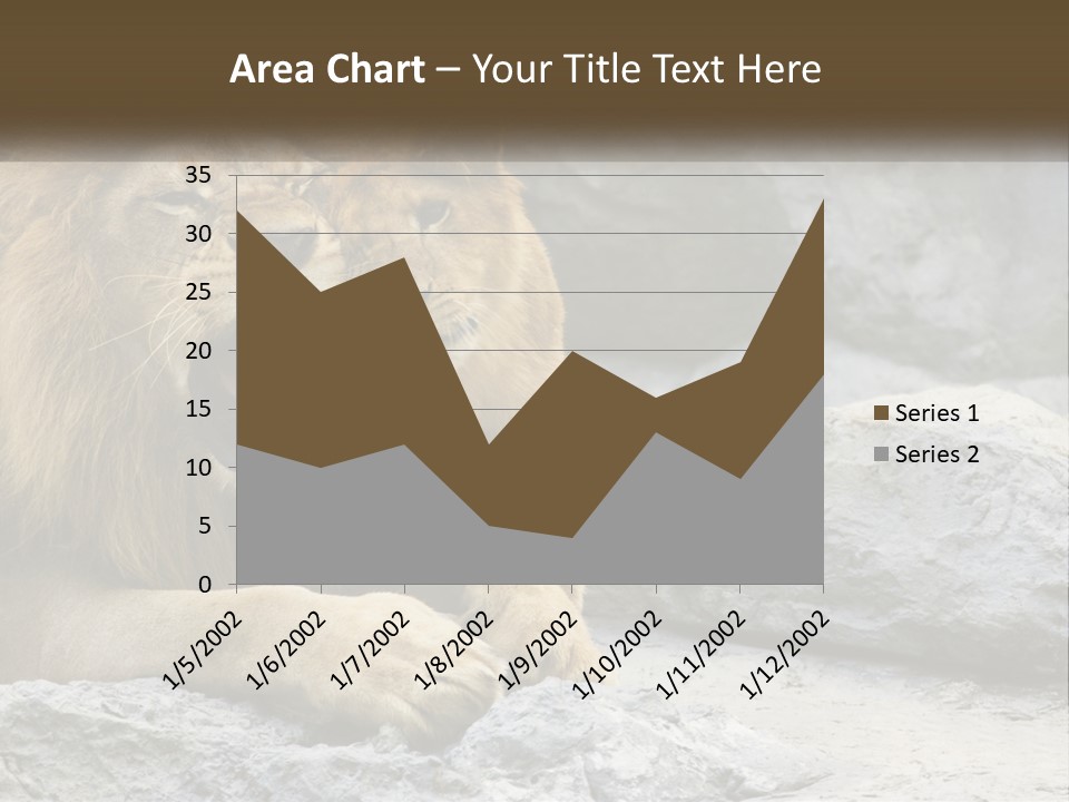 A Couple Of Lions Sitting On Top Of A Rock PowerPoint Template