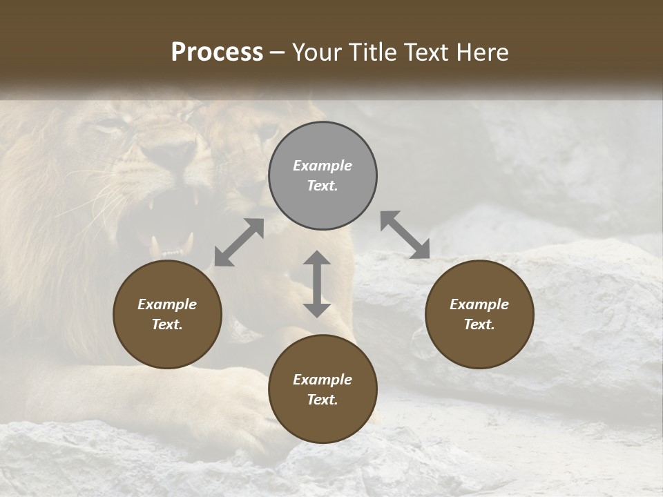 A Couple Of Lions Sitting On Top Of A Rock PowerPoint Template
