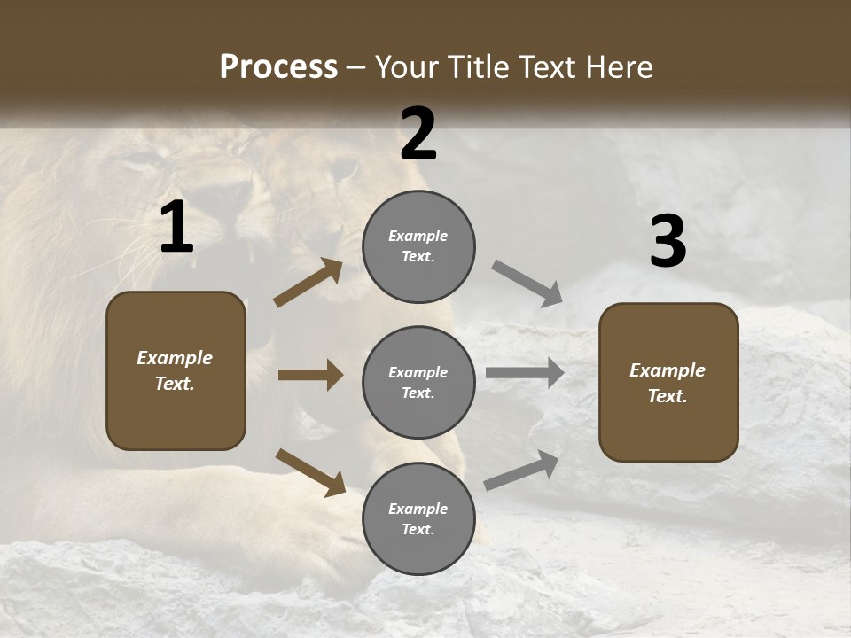 A Couple Of Lions Sitting On Top Of A Rock PowerPoint Template