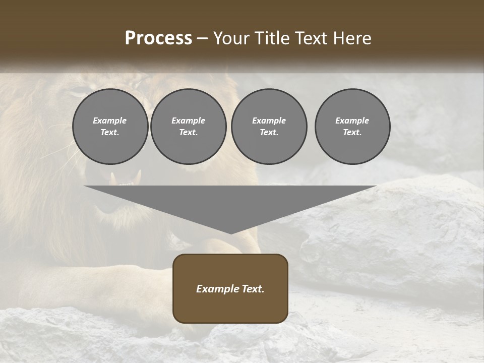 A Couple Of Lions Sitting On Top Of A Rock PowerPoint Template