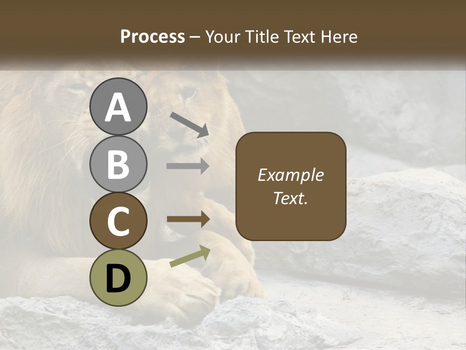 A Couple Of Lions Sitting On Top Of A Rock PowerPoint Template