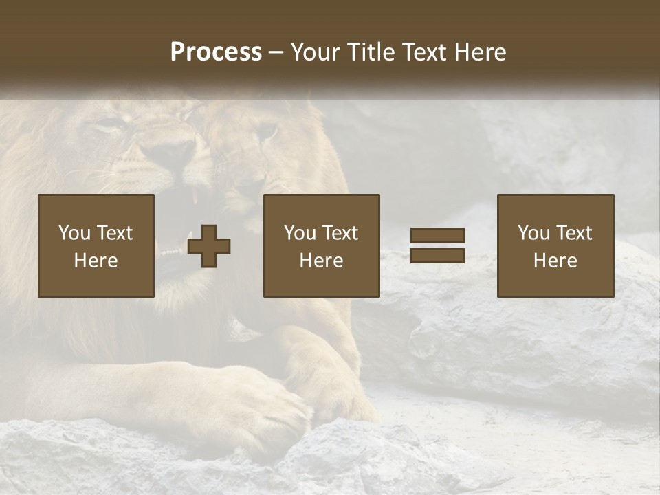 A Couple Of Lions Sitting On Top Of A Rock PowerPoint Template