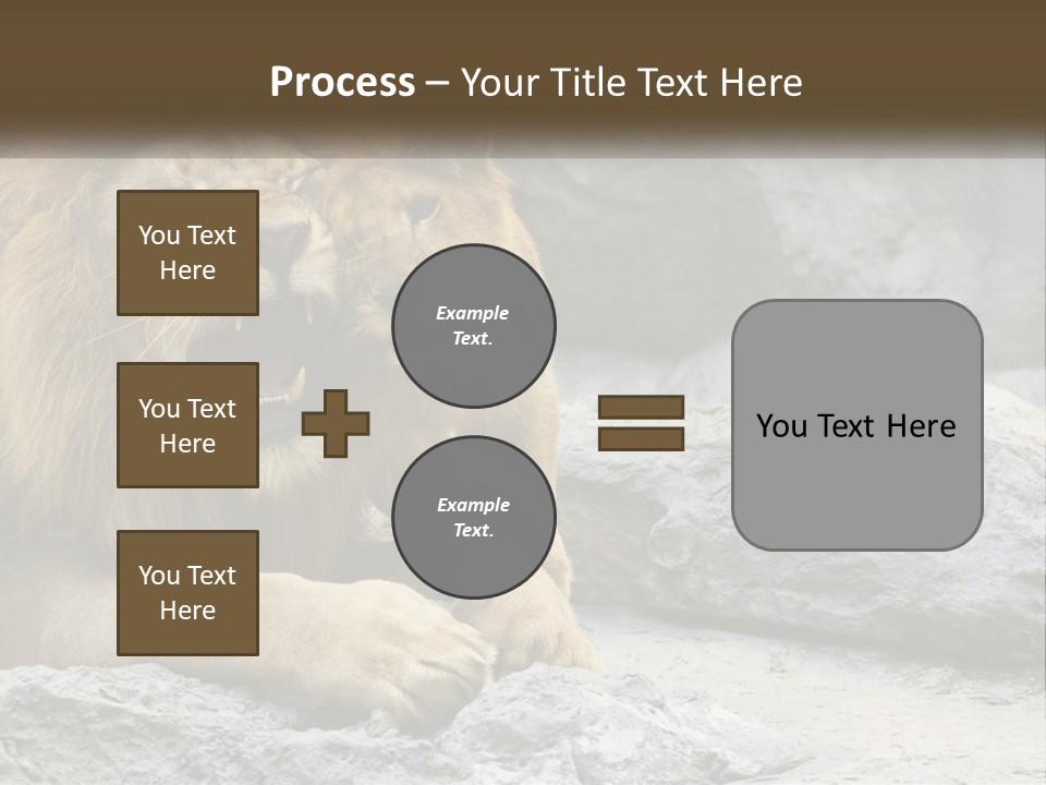 A Couple Of Lions Sitting On Top Of A Rock PowerPoint Template