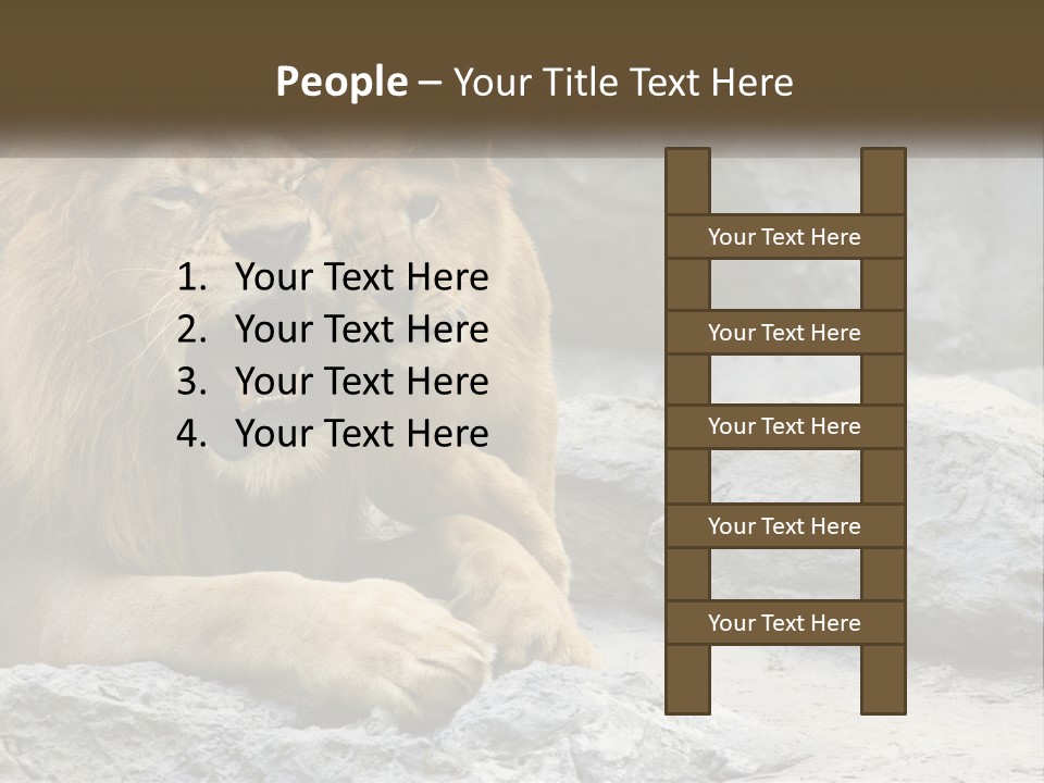 A Couple Of Lions Sitting On Top Of A Rock PowerPoint Template