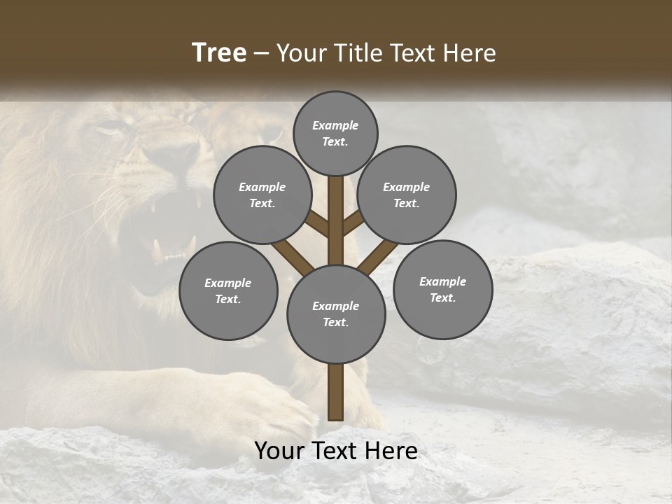 A Couple Of Lions Sitting On Top Of A Rock PowerPoint Template