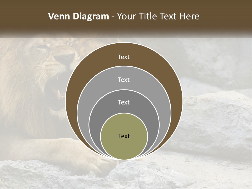 A Couple Of Lions Sitting On Top Of A Rock PowerPoint Template