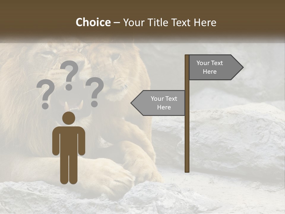 A Couple Of Lions Sitting On Top Of A Rock PowerPoint Template