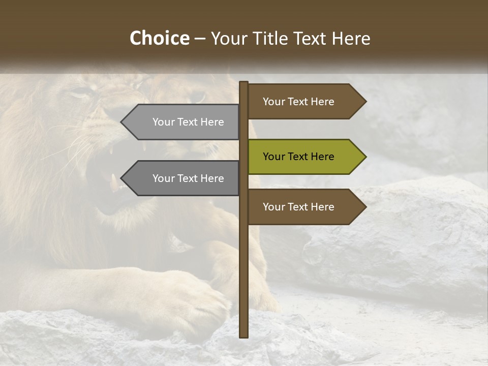 A Couple Of Lions Sitting On Top Of A Rock PowerPoint Template