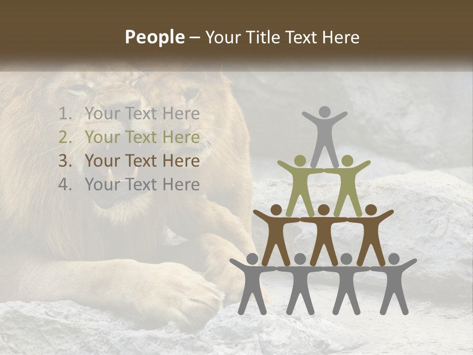 A Couple Of Lions Sitting On Top Of A Rock PowerPoint Template