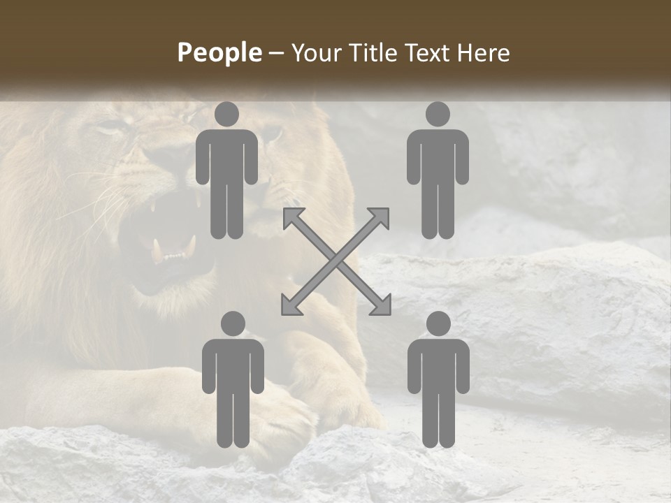 A Couple Of Lions Sitting On Top Of A Rock PowerPoint Template