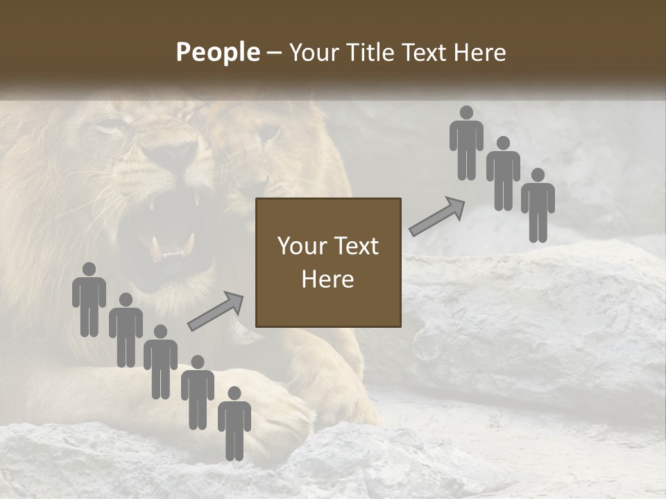 A Couple Of Lions Sitting On Top Of A Rock PowerPoint Template