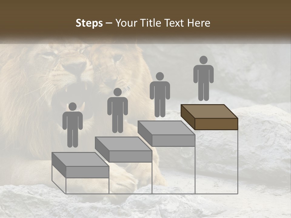 A Couple Of Lions Sitting On Top Of A Rock PowerPoint Template