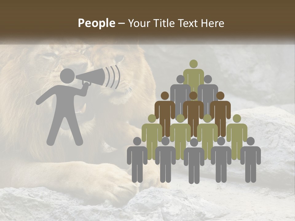 A Couple Of Lions Sitting On Top Of A Rock PowerPoint Template