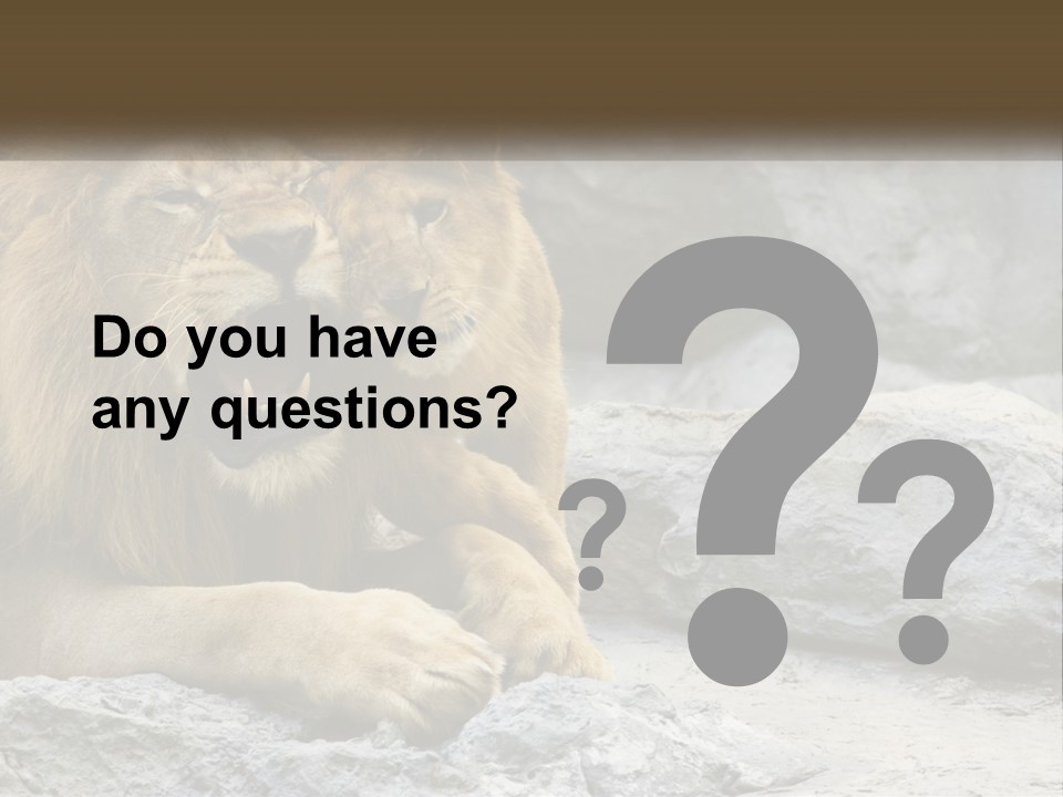 A Couple Of Lions Sitting On Top Of A Rock PowerPoint Template
