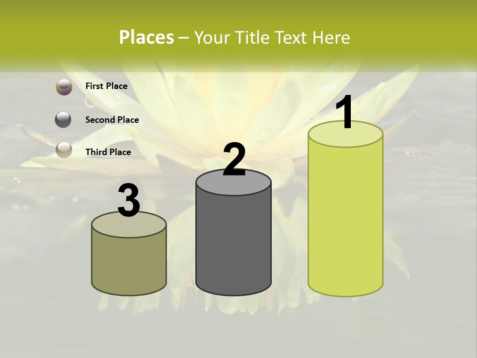 A Yellow Water Lily In A Pond Of Water PowerPoint Template