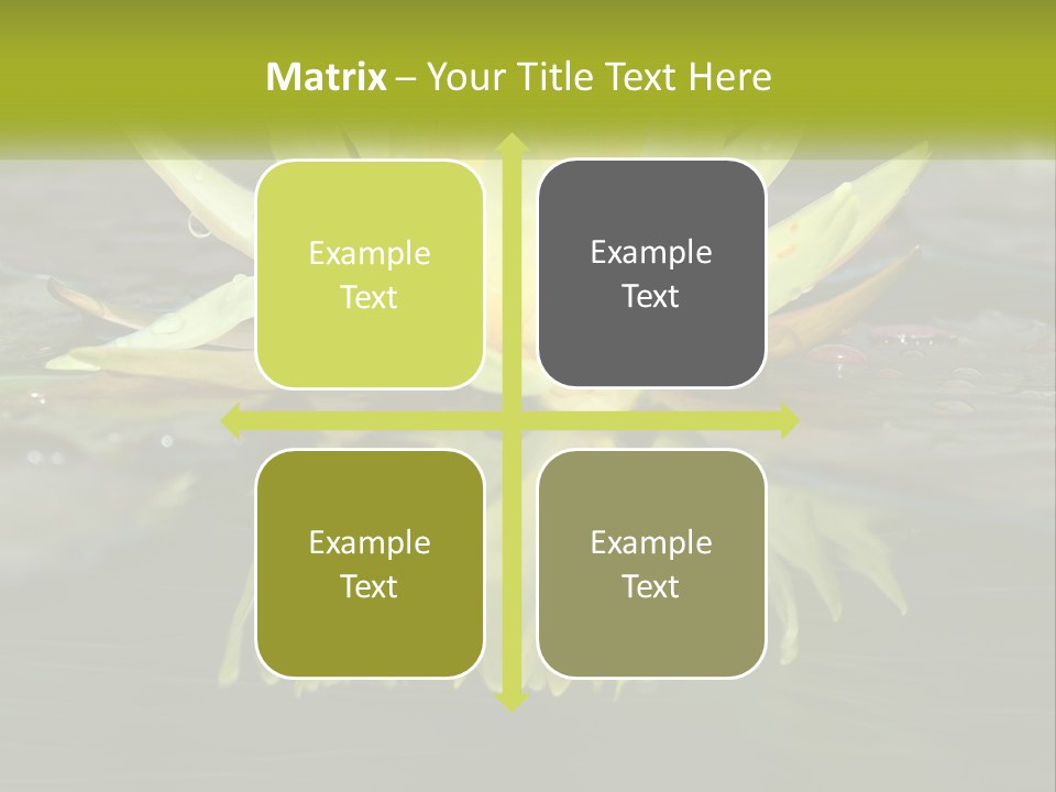 A Yellow Water Lily In A Pond Of Water PowerPoint Template