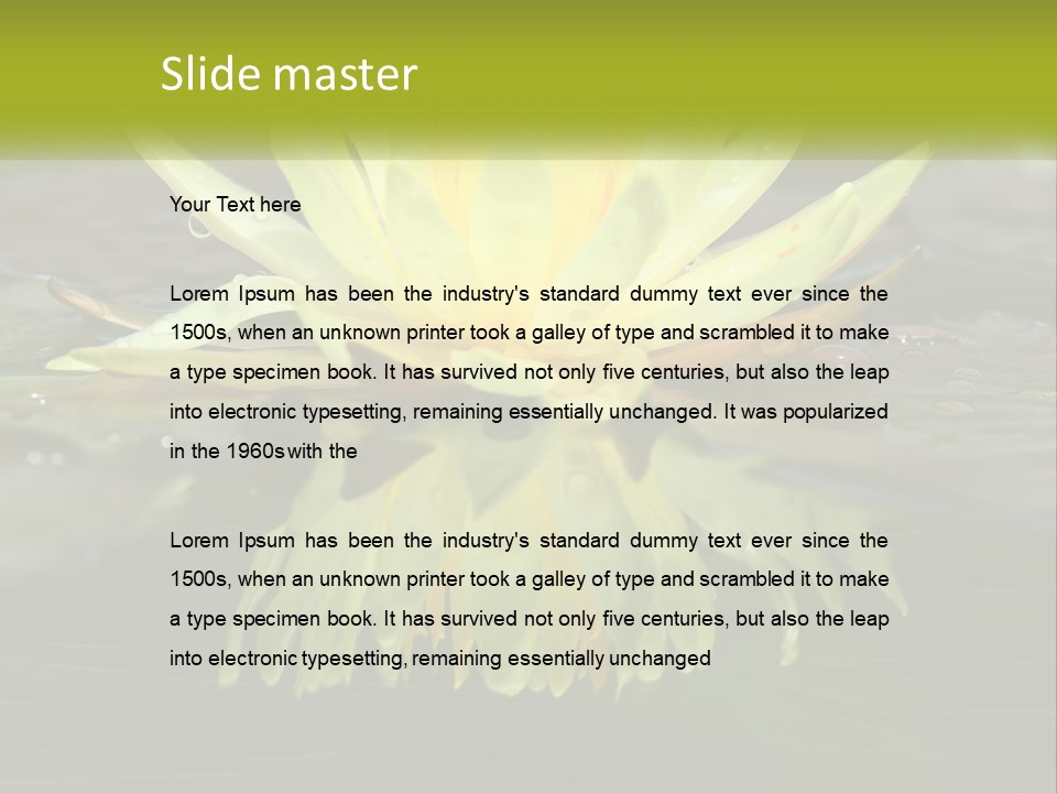 A Yellow Water Lily In A Pond Of Water PowerPoint Template