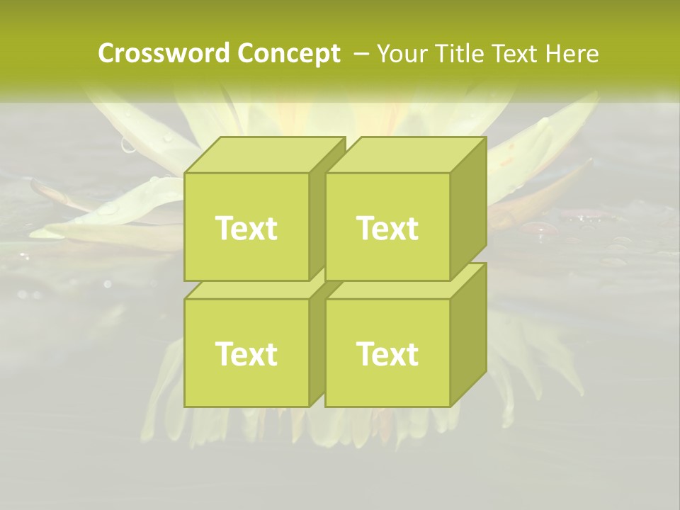 A Yellow Water Lily In A Pond Of Water PowerPoint Template