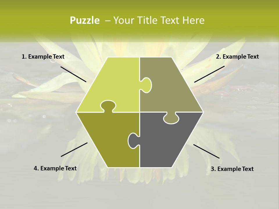 A Yellow Water Lily In A Pond Of Water PowerPoint Template