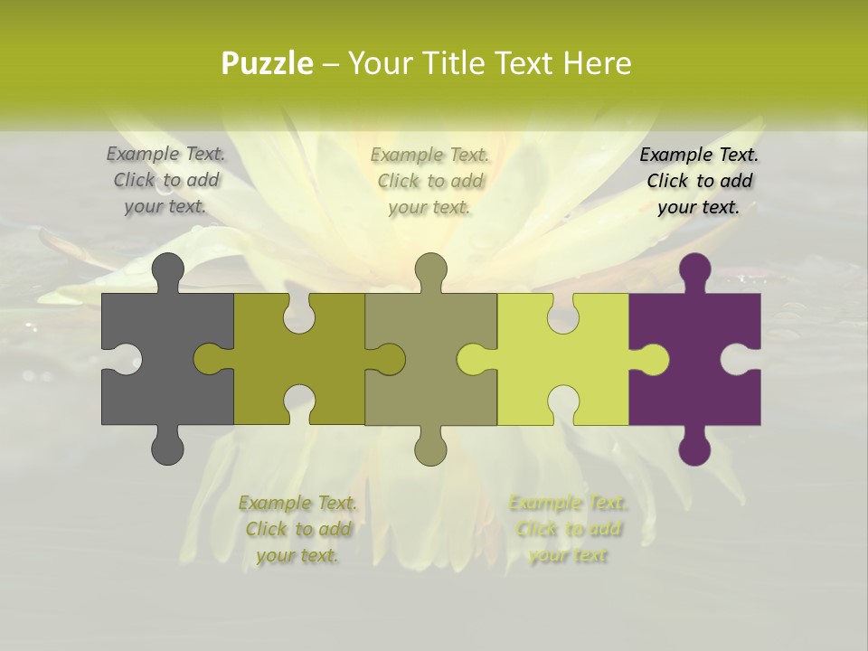 A Yellow Water Lily In A Pond Of Water PowerPoint Template