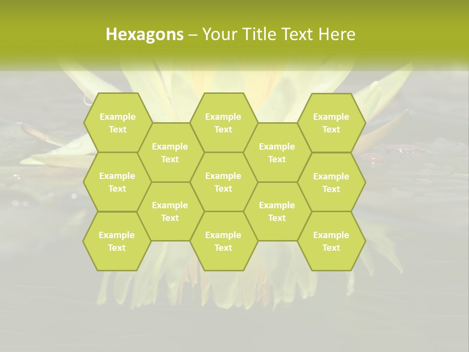 A Yellow Water Lily In A Pond Of Water PowerPoint Template