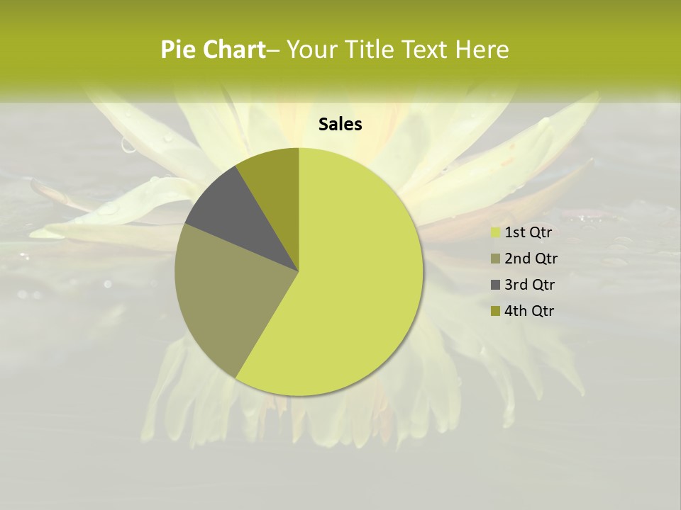 A Yellow Water Lily In A Pond Of Water PowerPoint Template