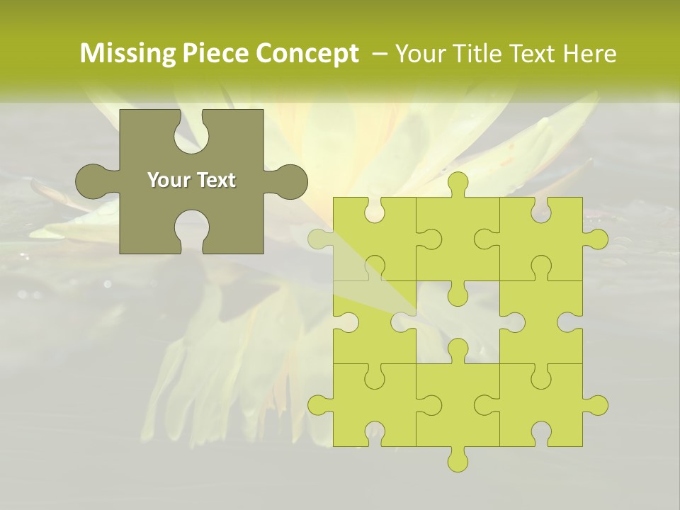 A Yellow Water Lily In A Pond Of Water PowerPoint Template